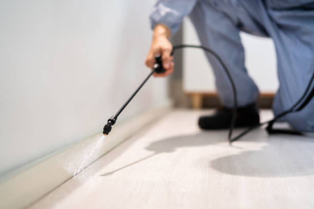 Licensed Pest Control service in Essex Village, CT - Nex Pest Control
