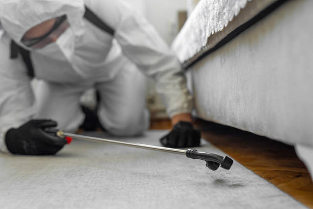 Professional Pest Control technician working in Essex Village, CT